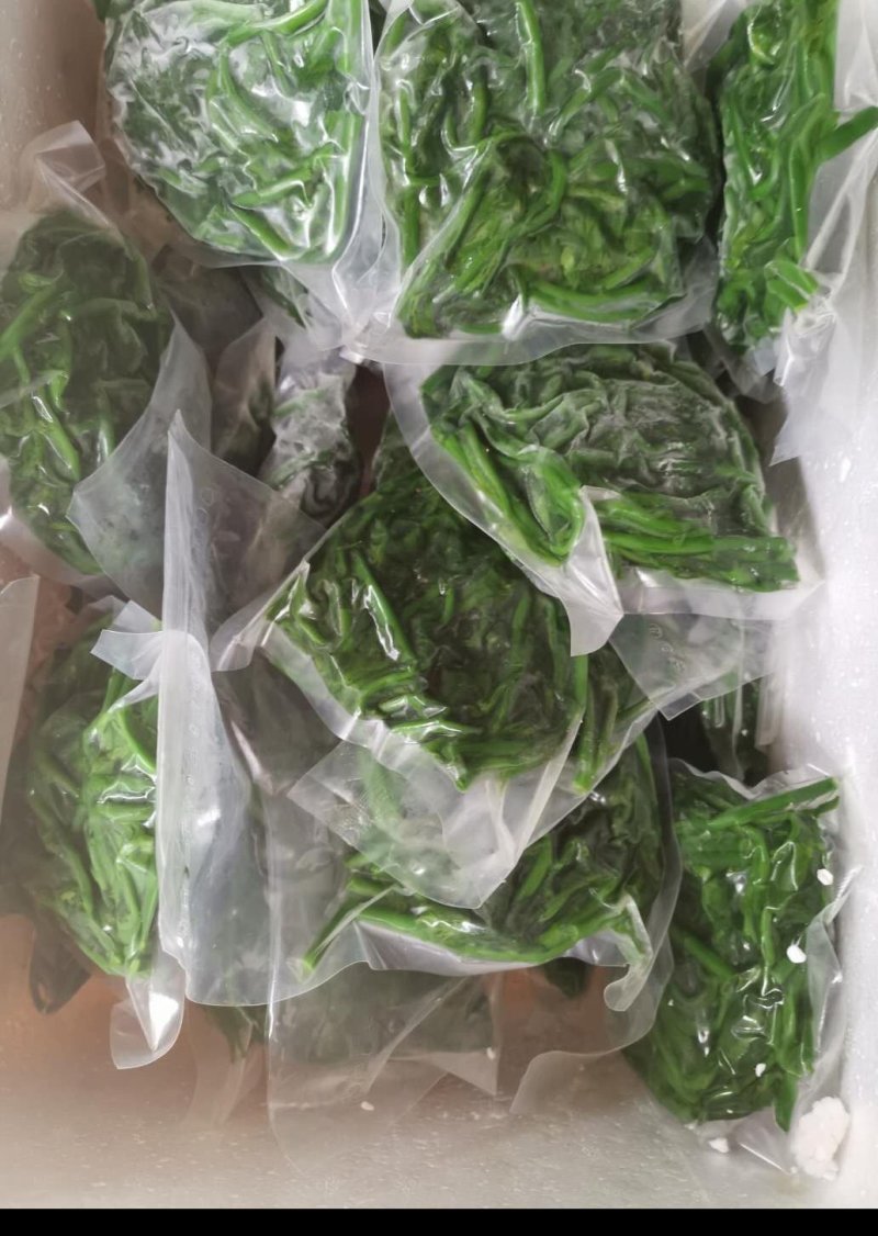 树仔菜鲜芽（天绿香），产地直供