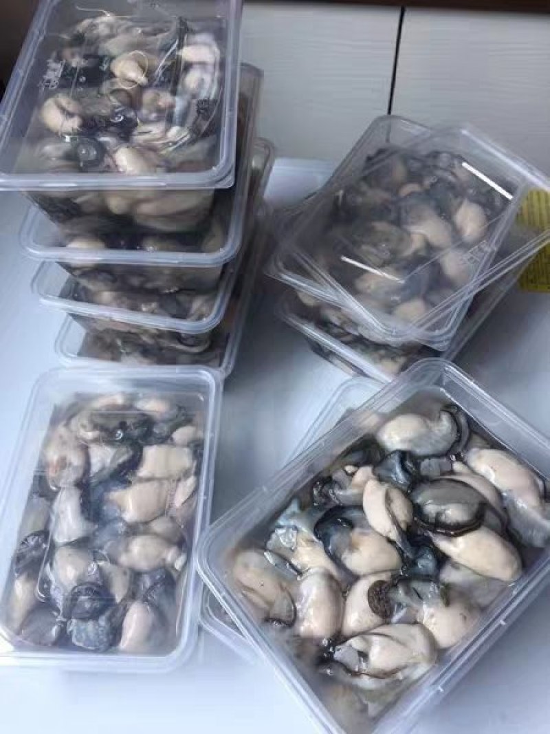 【精品生蚝肉】当天现剥大个生蚝肉即食生蚝肉