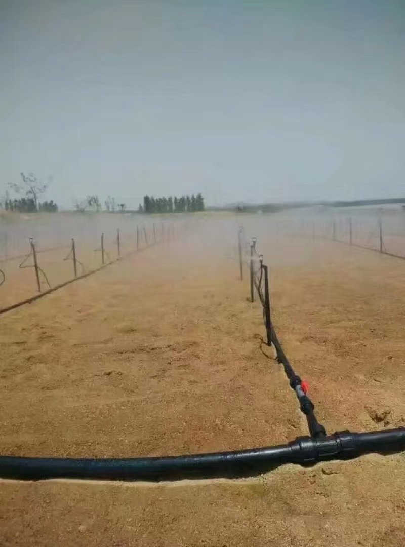 【地插微喷】地插旋转喷头，地插雾化微喷，果树大棚用微喷