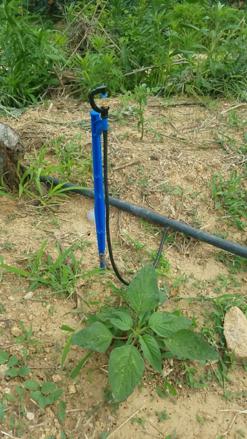 【地插微喷】地插旋转喷头，地插雾化微喷，果树大棚用微喷