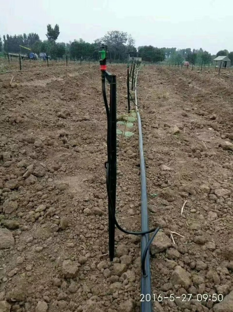 【地插微喷】地插旋转喷头，地插雾化微喷，果树大棚用微喷