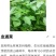 血通菜，血管清道夫，前景广阔