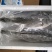 海鲈鱼鲈鱼海钓鲈鱼大鲈鱼海捕大鲈鱼