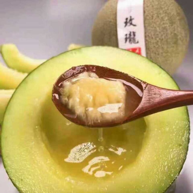 网纹瓜大型基地山东海阳品质保证
