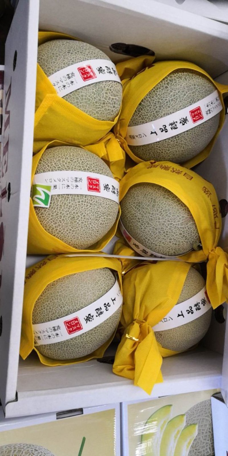 网纹瓜大型基地山东海阳品质保证