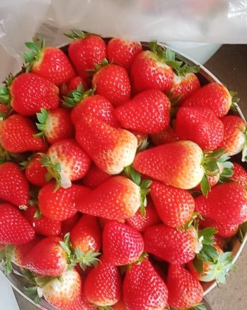 甜查理草莓