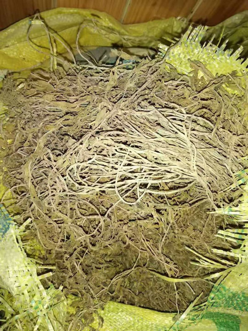 贵州野生药材无硫晒干垂盆草干品药用水洗豆瓣菜干货产地直发