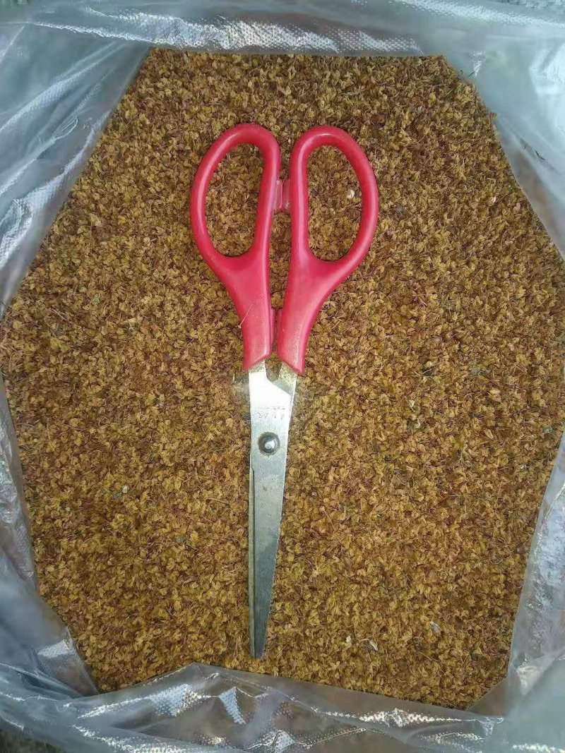 精选贵州无硫香味桂花干货泡酒泡茶食用新鲜晒干桂花茶干品