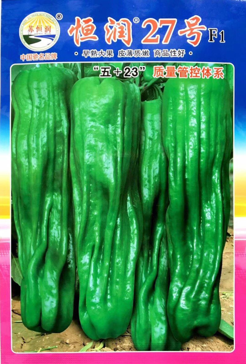 恒润27号薄皮辣椒杂交种子早熟大果皮薄质嫩膨果快