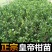 皇帝柑树苗正宗德庆皇帝柑苗贡柑苗果树苗柑橘树苗
