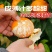 无核沃柑苗沃柑树苗嫁接橘子苗盆栽地栽苗南北方种植