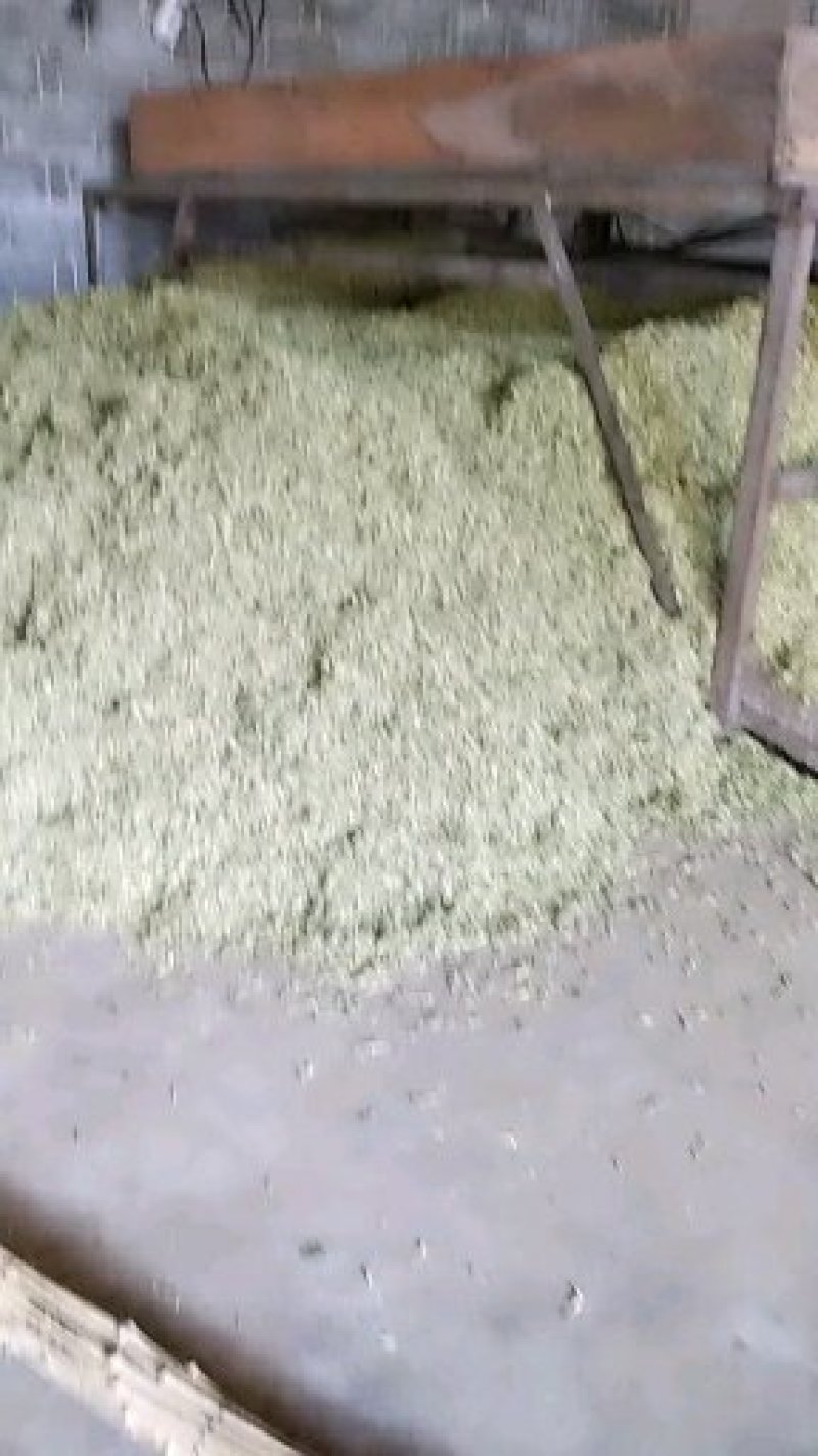 金银花