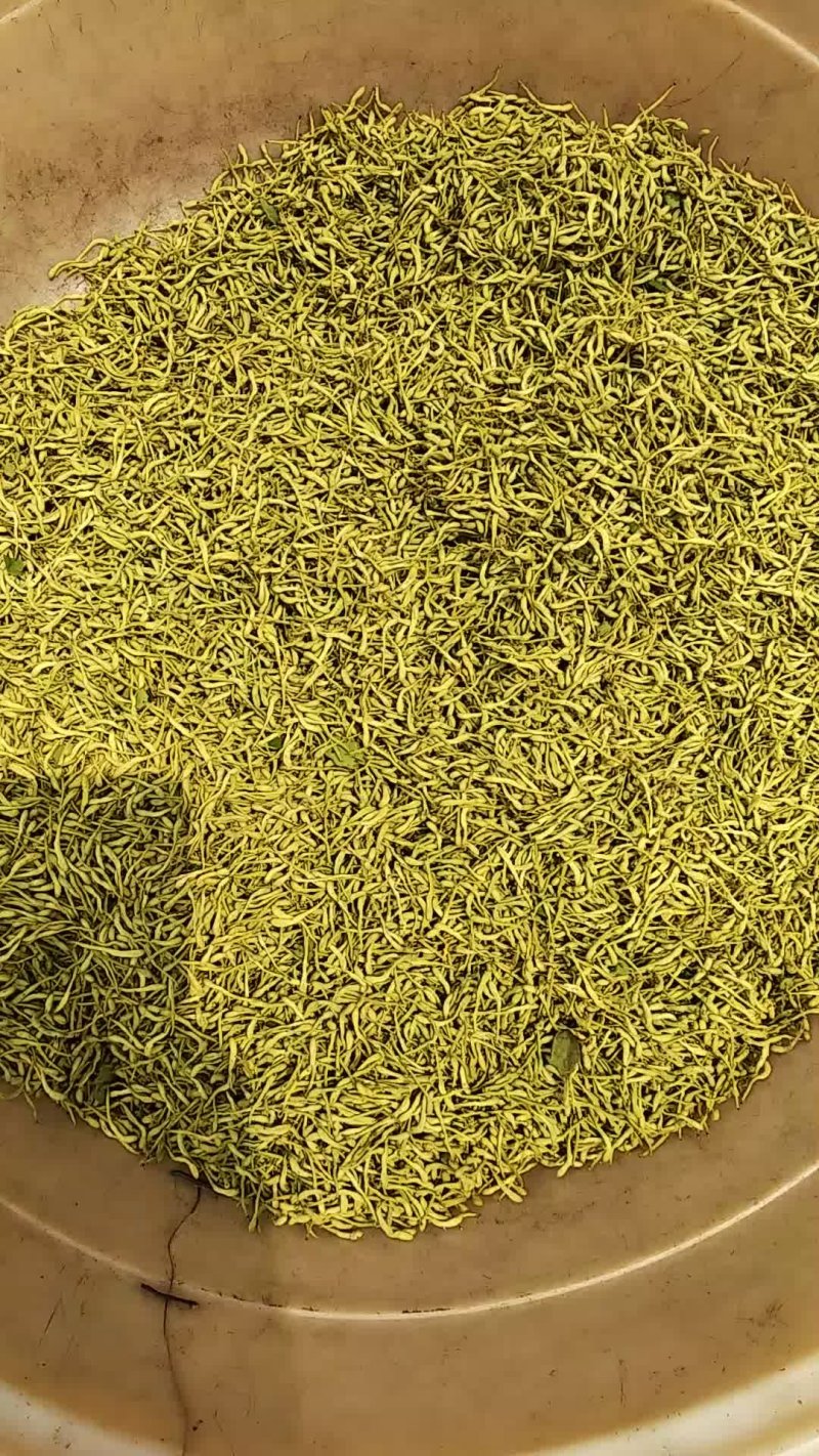 金银花