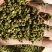 精品云南青麻椒一手货源质量保障视频看货等您来电