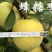嫁接李子树苗蜂糖李树苗南方北方种植早熟地栽苗盆栽苗