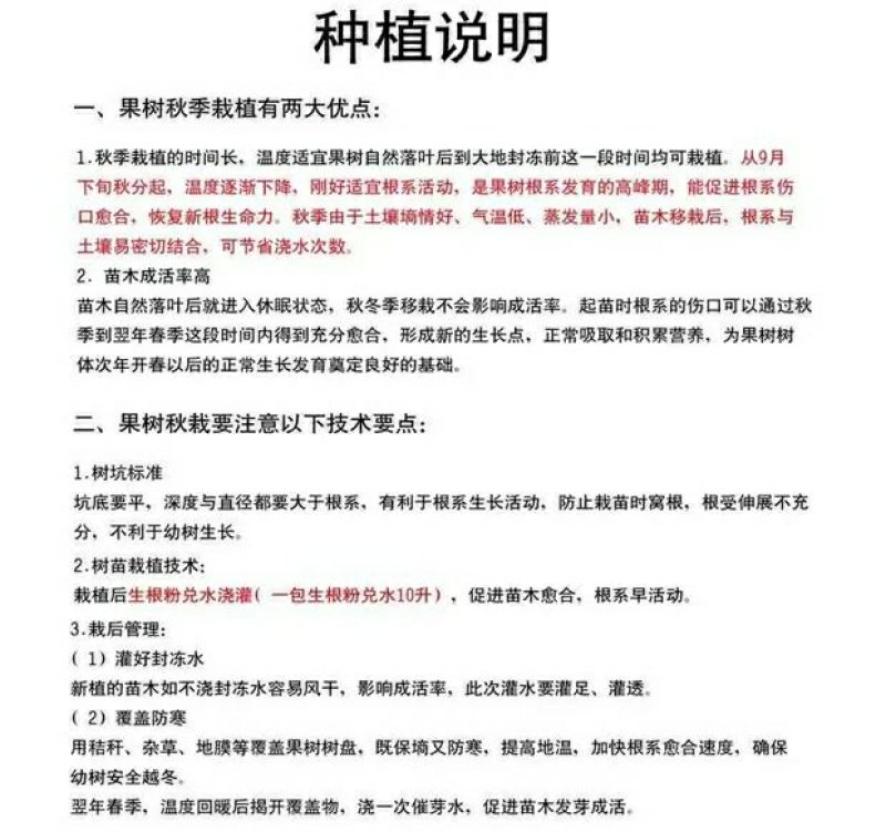 嫁接李子树苗蜂糖李树苗南方北方种植早熟地栽苗盆栽苗