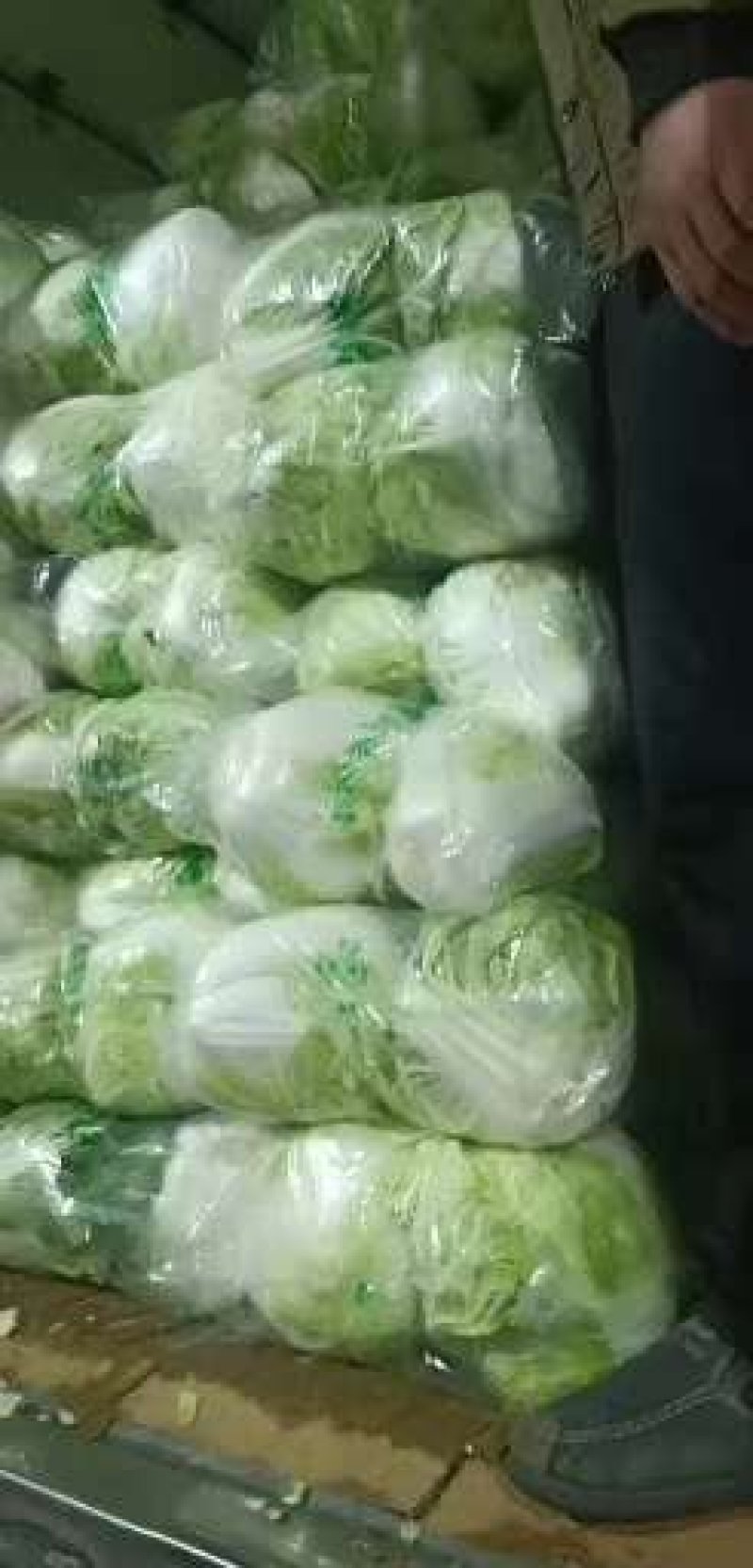 冷库大白菜，东京白菜，868白菜，新乡小包，质量好，代发