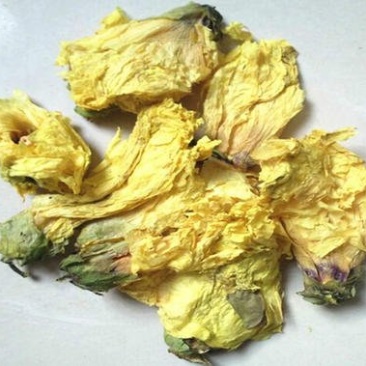 常年批发代购黄秋葵花量大从优