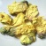 常年批发代购黄秋葵花量大从优
