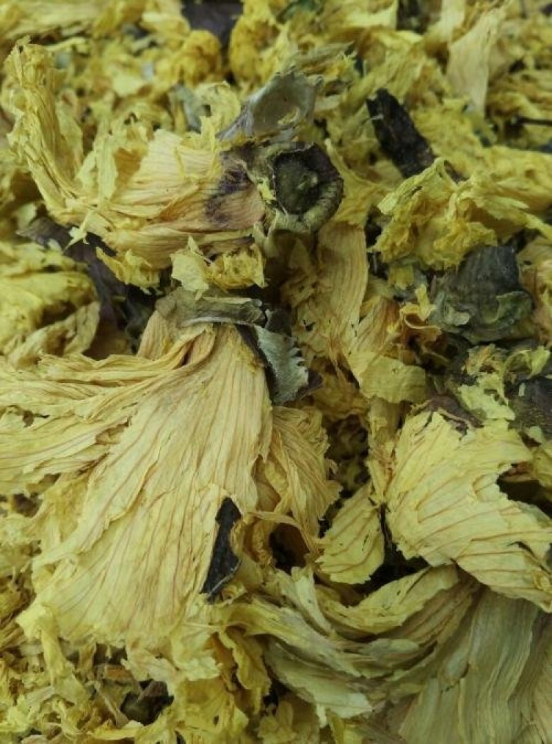常年批发代购黄秋葵花量大从优