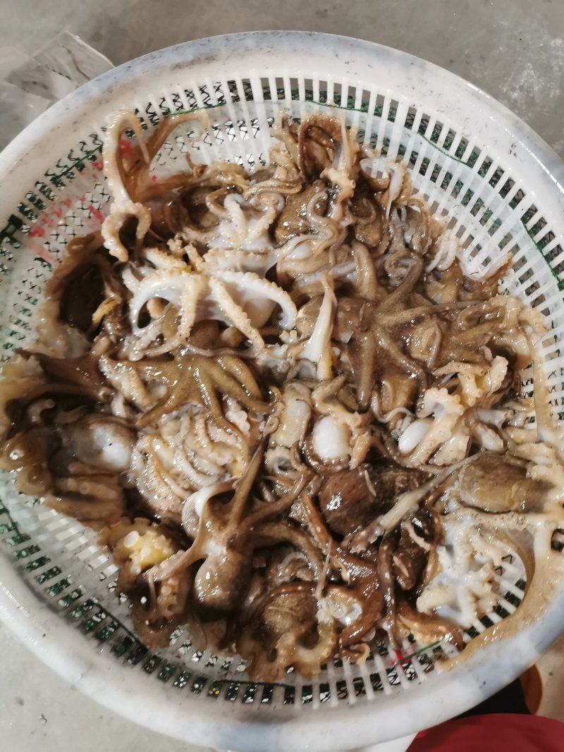 鲜活冷冻的短腿八爪鱼，直接活冻，没泡水，个个带米包