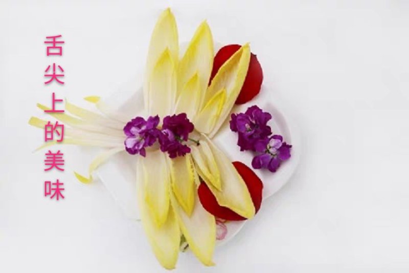 金玉兰菜芽球菊苣特菜野菜品质保证基地直供