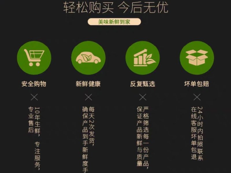 金玉兰菜芽球菊苣特菜野菜品质保证基地直供