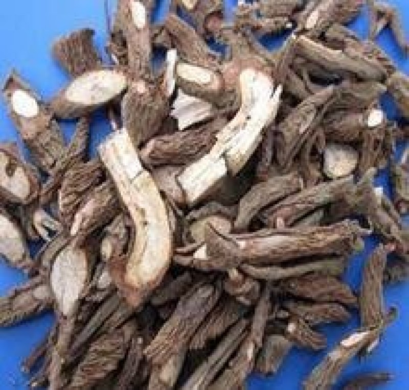 百两金，常年批发供应冷背药材八爪龙，量大从优
