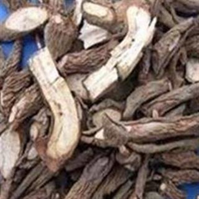 百两金，常年批发供应冷背药材八爪龙，量大从优