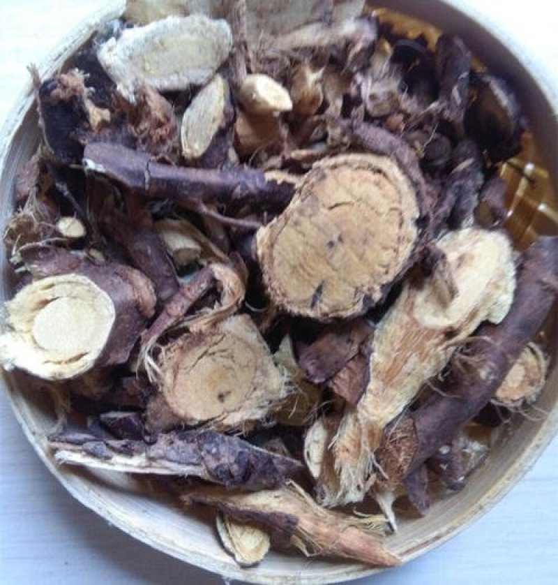 常年批发代购锦鸡儿，金雀儿
