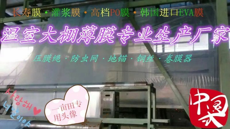 厂内直产直销温室大棚薄膜