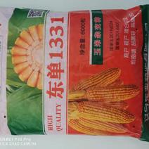 玉米种子，东单1331，国审种子，高产，稳产，全国