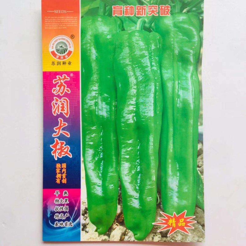 苏润大椒特大果牛角椒种子高产抗病辣椒种子微辣