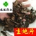 生地黄规格多产地直销怀生地片供应各种中药材