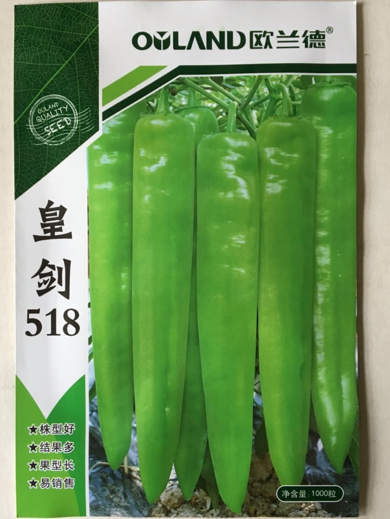 欧兰德皇剑518辣椒种子大果黄绿皮椒新品种