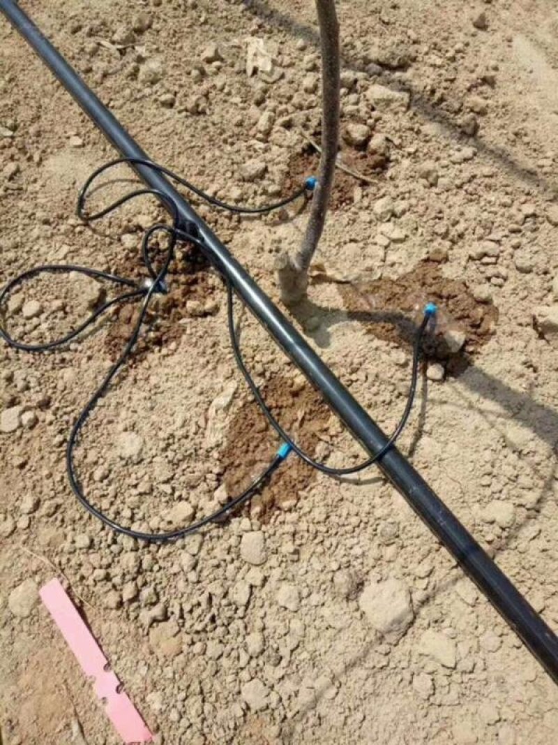 【牛】滴箭一出一一出二一出四滴箭灌水器含4升8升滴头滴箭
