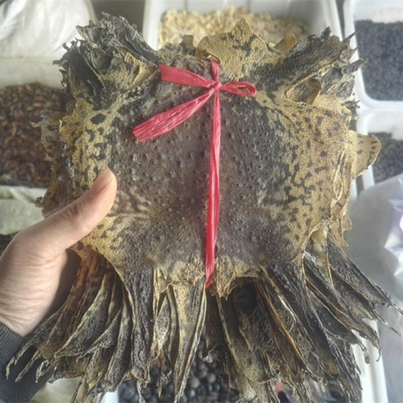 蟾蜍衣，道地药材，一手货源质优价实，品质保证，药典标准
