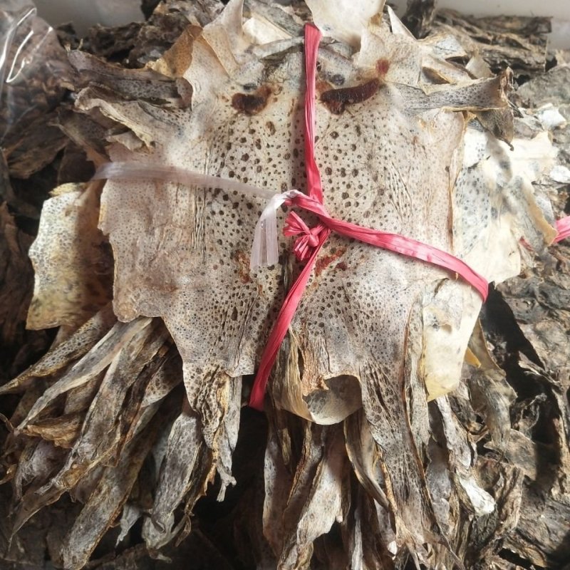蟾蜍衣，道地药材，一手货源质优价实，品质保证，药典标准