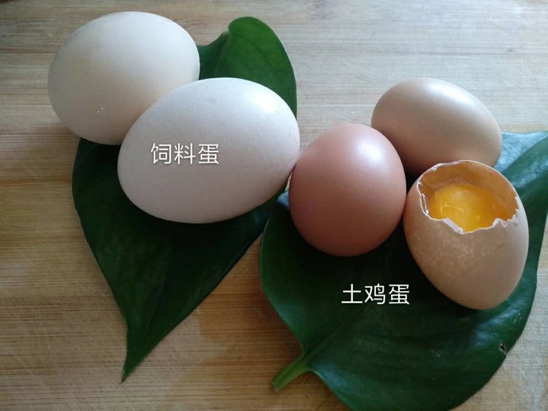 西充县尖山子养殖扶贫合作舍