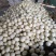 新鲜东方蜜甜瓜大量上市肉嫩味甜价格美丽产地直销