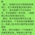 果树苗脆红李子嫁接苗四川脱骨李红心李晚熟南北方种植