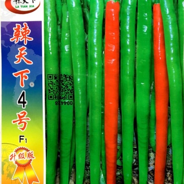 辣天下4号线椒种子早熟抗病抗逆性强味香辣产量高