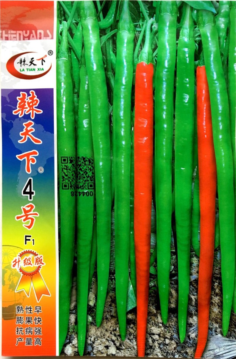 辣天下4号线椒种子早熟抗病抗逆性强味香辣产量高