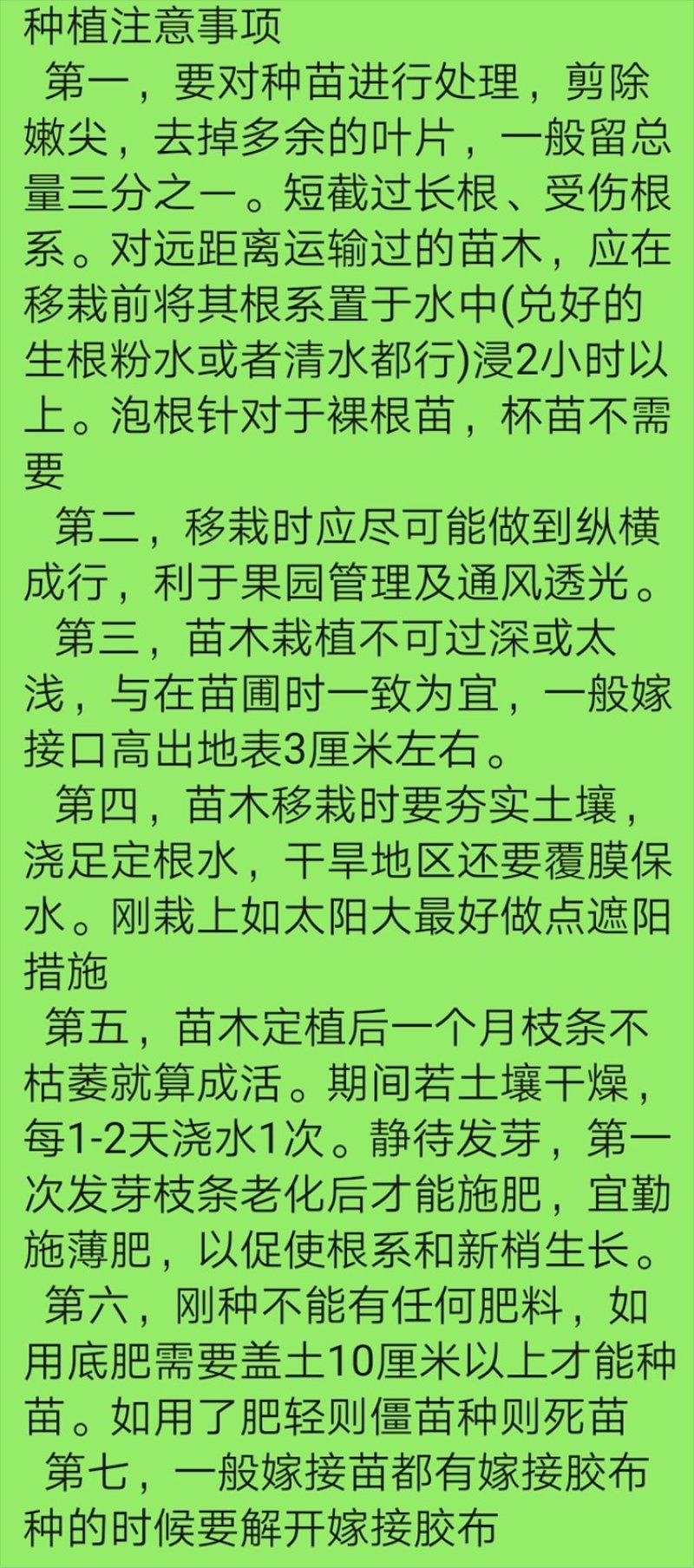 李子树苗嫁接西梅李子苗盆栽地栽庭院南北方种植