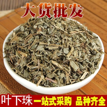 叶下珠产地直销量大从优