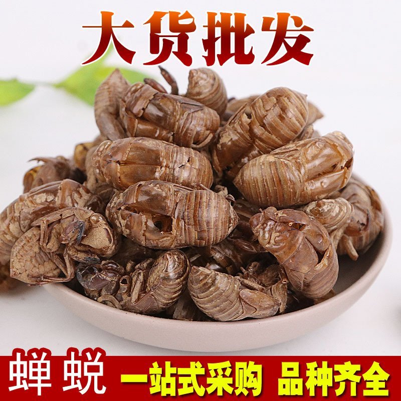 蝉蜕蝉皮产地直销量大从优