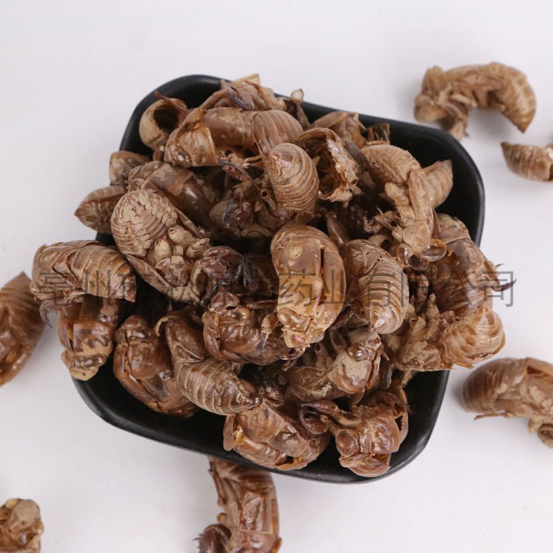 蝉蜕蝉皮产地直销量大从优