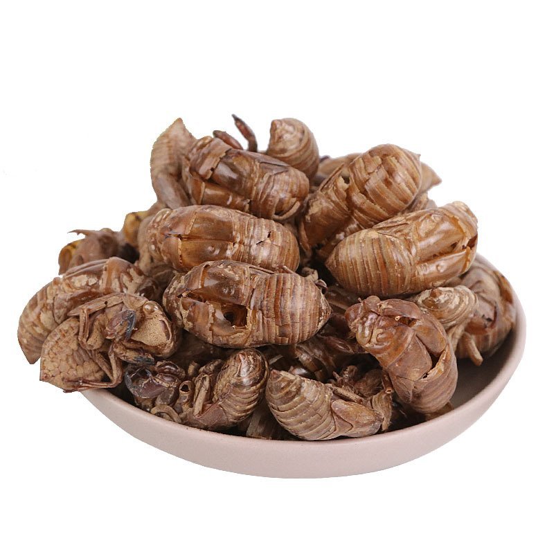 蝉蜕蝉皮产地直销量大从优