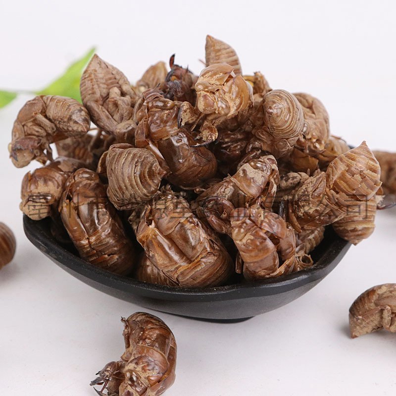 蝉蜕蝉皮产地直销量大从优