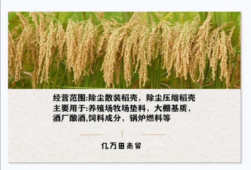 稻壳